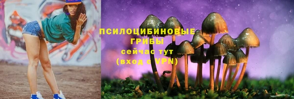 стаф Абаза