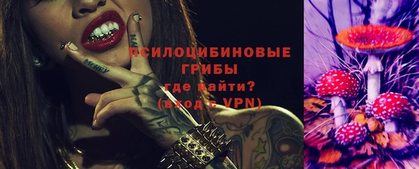 стаф Абаза