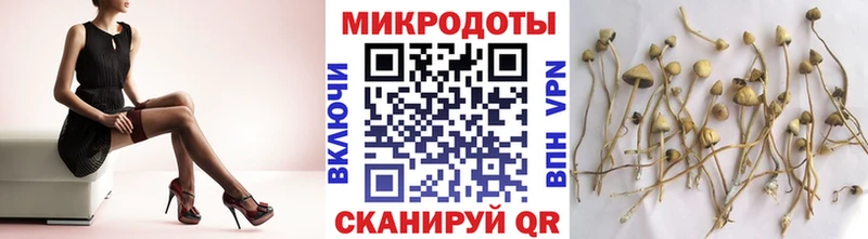 мега   Александров  Галлюциногенные грибы Magic Shrooms 